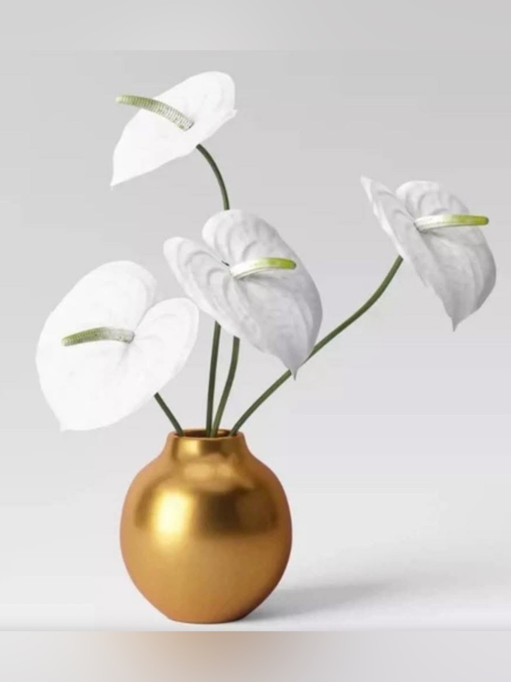 Threshold Tabletop Arrangement- Gold Vase with White Anthurium Stems